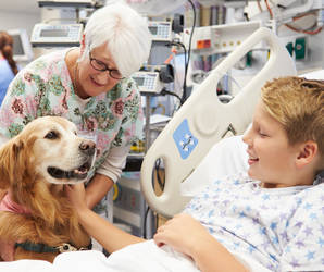 Patienten und Angehörige berichten über positive Erfahrungen mit Hundebesuchen am Krankenbett. Foto©shutterstock.com/Monkey Business images