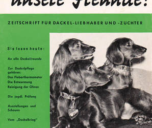 Die 1. Ausgabe der Dackelzeitschrift erschien am 1. August 1964.