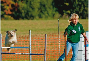 Hundesport