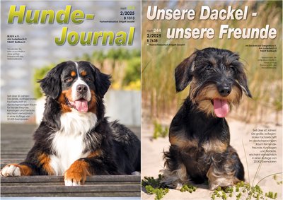 Titelbilder: IRJGV©shutterstock.com/Eve Photography; IDG©shutterstock.com/Zanna Pesnina Titelbilder: IRJGV©shutterstock.com/Eve Photography; IDG©shutterstock.com/Zanna Pesnina