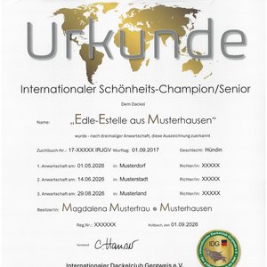 Beispielmotiv: Internationales Championat - Senioren Klasse  -  (©Text/Layout/Grafiken-IRJGV e.V./Vectorgrafiken:shutterstock.com/magr80))