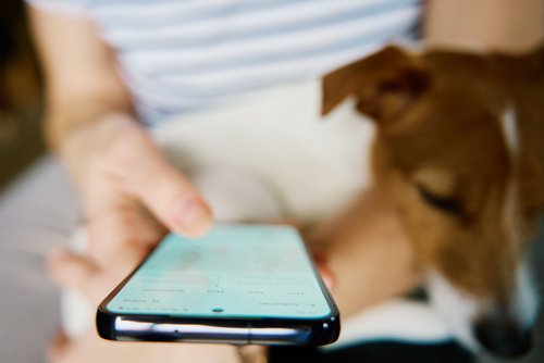 ©shutterstock.com/Lazy_Bear