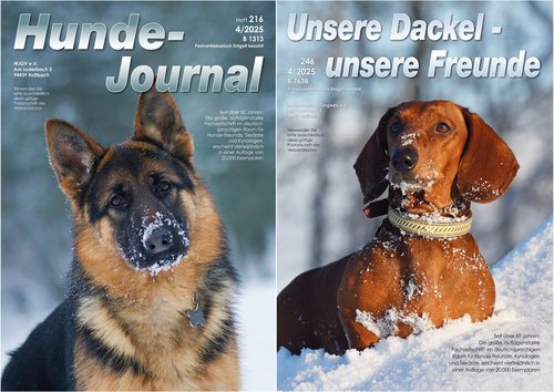 Titelbilder: IRJGV©shutterstock.com/Eve Photography; IDG©shutterstock.com/Everita Pane