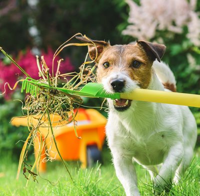 Foto©shutterstock.com/alexei_tm