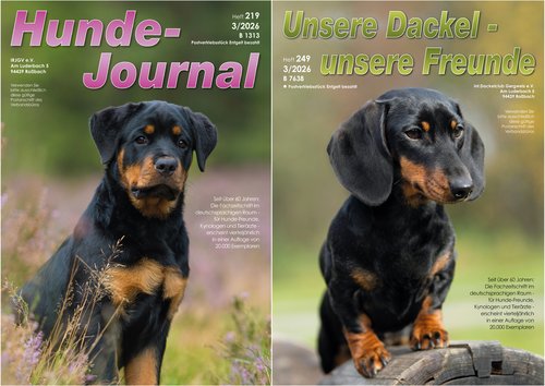 Titelbilder: IRJGV©shutterstock.com/Dora Zett; IDG©shutterstock.com/Liliya Kulianionak