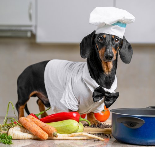 Foto:©shutterstock.com/Masarik