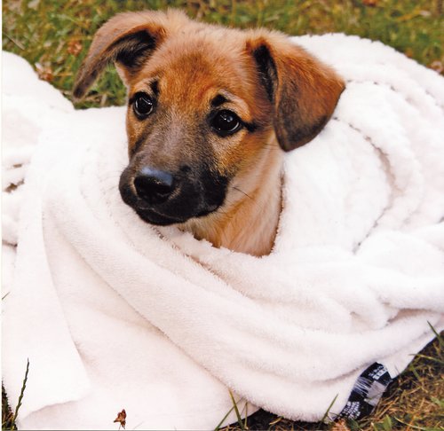 Wichtiger Kälte- und Nässeschutz. Foto:©Pressebüro Vennebusch & Musch GmbH