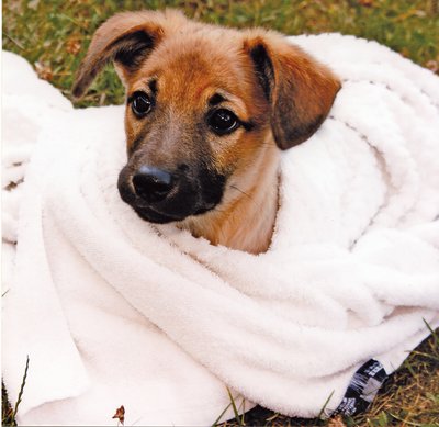 Wichtiger Kälte- und Nässeschutz. Foto:©Pressebüro Vennebusch & Musch GmbH
