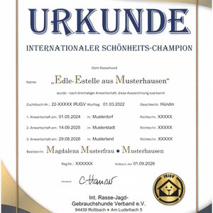 Beispielmotiv: Internationales Championat - offene Klasse  -  (©Text/Layout/Grafiken-IRJGV e.V.))