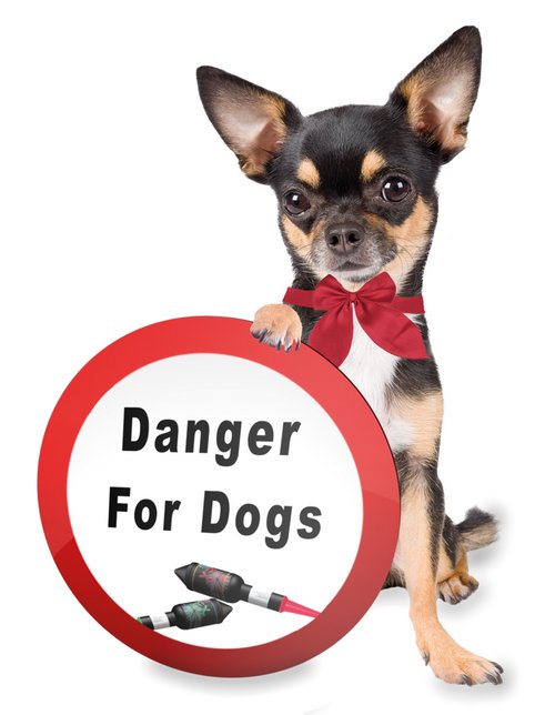 Alles Gute Ihnen und Ihrem Vierbeiner für das neue Jahr! Foto:©clipdealer.de