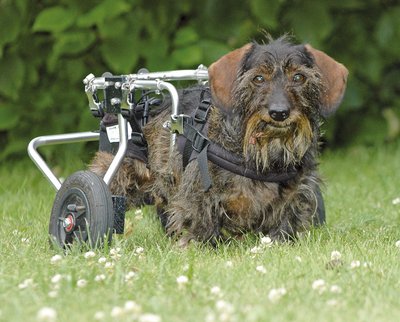 Foto:©Pressebüro NOKEM