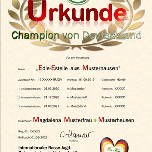 Beispielmotiv: Internationales Championat - offene Klasse  -  (Vector-Grafik©shutterstock.com/Pyty+sence sriyota)