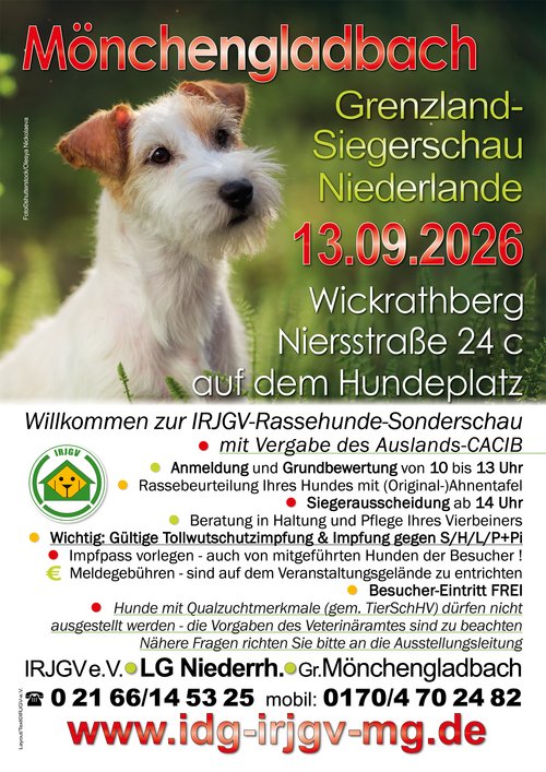 Foto©shutterstock.com/Olesya Nickolaeva