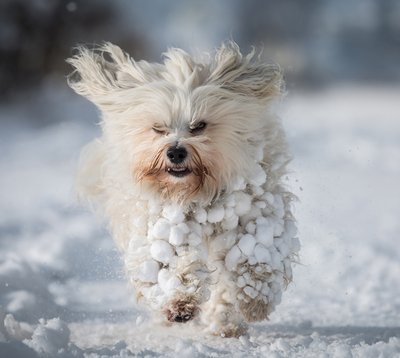 Foto:©clipdealer.de