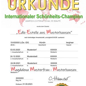 Beispielmotiv: Nationales Championat - offene Klasse  -  (Vector-Grafik©shutterstock.com/pixelliebe+adobestock/Regormark)