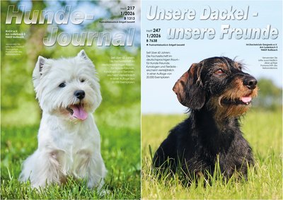 Titelbilder: IRJGV©shutterstock.com/Anna Averianova; IDG©shutterstock.com/Bianca Grueneberg