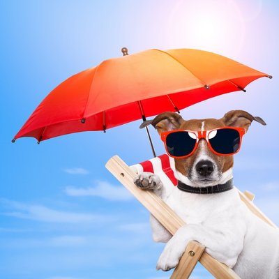 SCHÖNE FERIEN... und immer auf guten Sonnenschutz achten! ©ClipDealer.de SCHÖNE FERIEN... und immer auf guten Sonnenschutz achten! ©ClipDealer.de