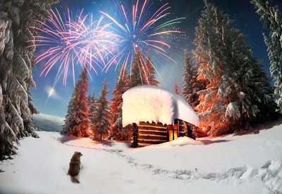 Krachende Böller und heulende Raketen sind für die meisten Tiere wahrer Stress und damit auch für uns. Foto:©clipdealer.de