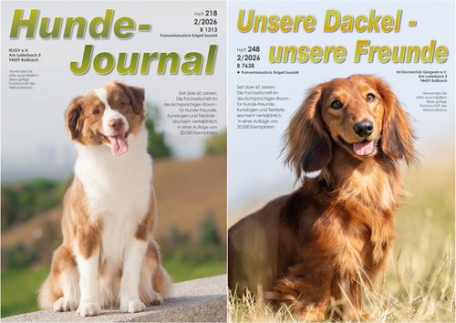 Titelbilder: IRJGV©shutterstock.com/Didkovska Ilona; IDG©shutterstock.com/BIGANDT.COM