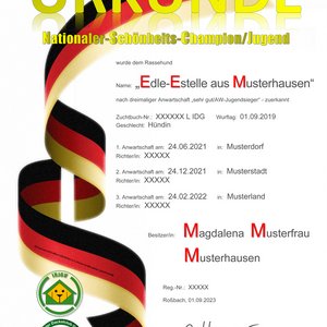 Beispielmotiv: Nationales Championat - Jugend  -  (Vector-Grafik©adobe-stock/ferart88)