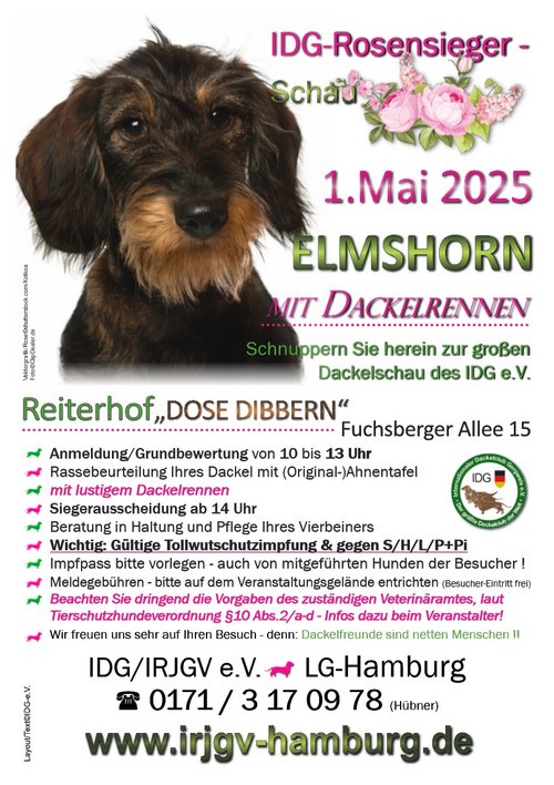 Layout/Text©IDG e.V./Vektorgrafik/Rose©shutterstock.com/Kotkoa Foto©ClipDealer.de