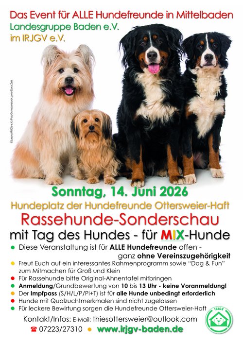 ©Layout-IRJGV-e.V./Foto©shutterstock.com/Dora Zett