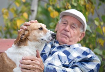 Hund & Mensch