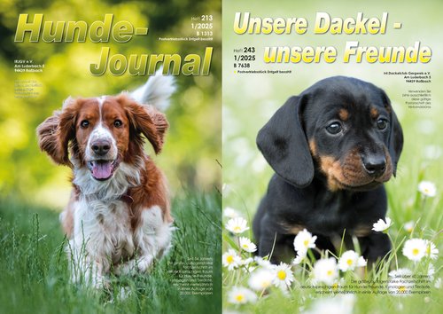 Titelbilder: IRJGV©shutterstock.com/el-ka; IDG©shutterstock.com/Vera Zinkova Zwei Hunde genießen den Frühlingsanfang