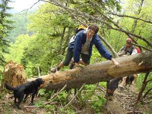 Die Wanderstrecken sind sehr hundefreundlich und bieten den Hunden ausgiebige Möglichkeiten zum Austoben – und das ohne Leinenpflicht. Ein echter Natur-Agility-Parcours für Hund und Hundeführer.